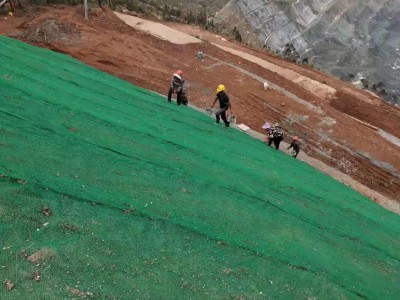 三維植被網(wǎng)護(hù)坡三維植被網(wǎng)護(hù)坡價(jià)格