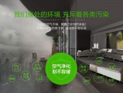 室內(nèi)空氣污染現(xiàn)狀,室內(nèi)空氣污染現(xiàn)狀及其成因分析論文