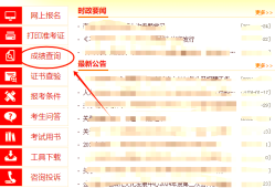 監(jiān)理工程師成績查詢手機(jī)怎么查詢,信息監(jiān)理工程師成績查詢