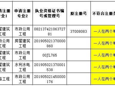 包含監理工程師掛靠價格的詞條