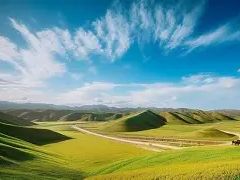 新疆結(jié)構(gòu)工程師證書領(lǐng)取新疆結(jié)構(gòu)工程師證書領(lǐng)取條件
