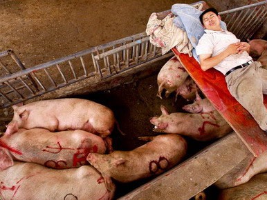 豬圈設(shè)計(jì)圖豬圈設(shè)計(jì)圖片大全 農(nóng)村 家用