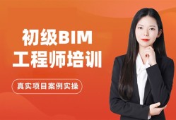 淺談bim技術的發(fā)展前景論文bim工程師前景演講稿