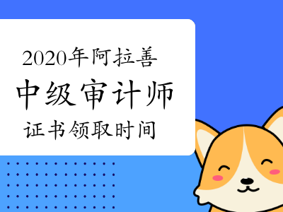 關于審計單位要不要造價工程師的信息