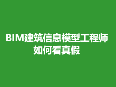 bim專業(yè)工程師報考條件,bim專業(yè)工程師