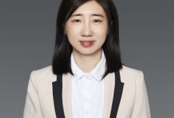 副總監理工程師副總監理工程師任職要求是什么