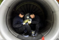 飛機維修工程師學什么專業(yè)飛機結(jié)構(gòu)維修工程師待遇