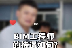 BIM實施服務工程師,bim實施服務工程師是干嘛的