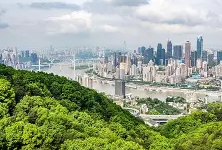 重慶注冊(cè)安全工程師準(zhǔn)考證打印時(shí)間重慶2020注冊(cè)安全工程師考試證書領(lǐng)取時(shí)間