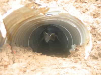 土木在線論壇下載土木在線論壇