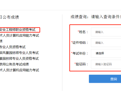 注冊安全工程師證書查詢網安全工程師查詢網