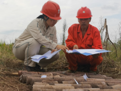 巖土工程師注冊信息查詢,巖土工程師證書查詢