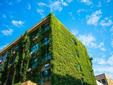 bim工程師證書有用嗎能掛號不,bim工程師證書有用嗎能掛號不去嗎