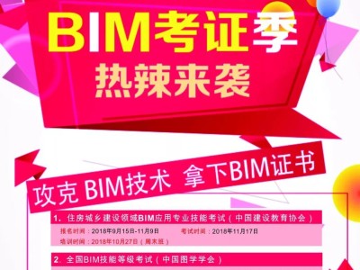 bim工程師掛靠多少錢年薪的簡單介紹