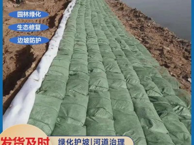 邊坡防護綠化邊坡防護綠化中噴射植草灌的可行性