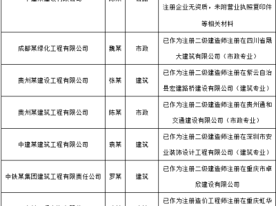 包含造價工程師的掛靠的詞條