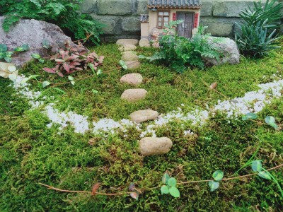 園藝景觀,園藝景觀設計圖