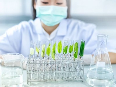 bim工程師證書有什么bim工程師證書能干嘛