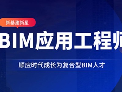 包含bim工程師國(guó)外能用嗎的詞條