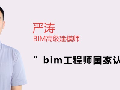 甘肅省工程類職稱評審條件,甘肅工程師認可的bim