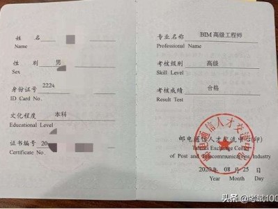 工程bim咨詢是什么意思,bim咨詢工程師需要年檢嗎