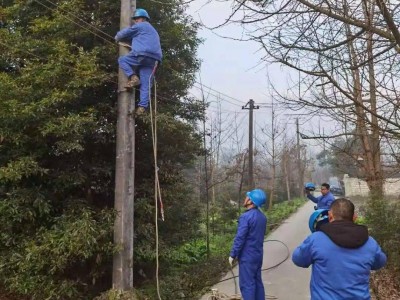 農網改造工程施工勞務分包,農網改造工程