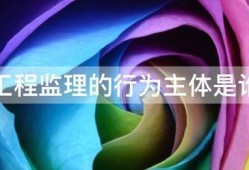 工程監(jiān)理的行為主體是誰(shuí)