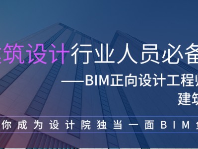 怎么練成bim工程師,想學(xué)bim怎么學(xué)