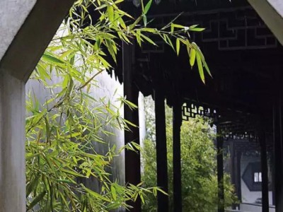 網易園林北京網易園區位置