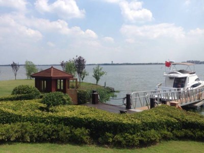 淀山湖一號淀山湖一號大蝦是什么蝦種