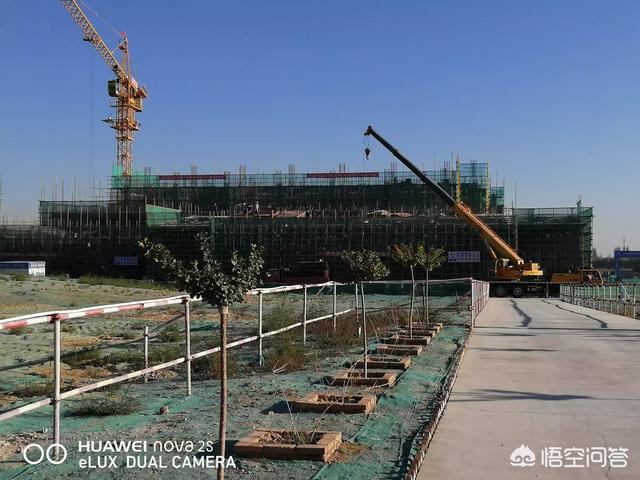 一級建造師的收入怎樣？零基礎(chǔ)如何準(zhǔn)備一級建造師考試？  第3張