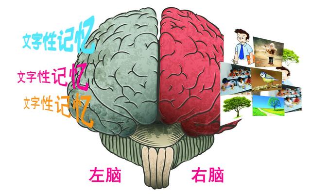 想考二級建造師，報考所需的條件及備考所需的書籍資料有哪些？  第2張