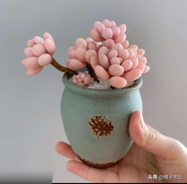 二建出考試時間了，大家開始學習了嗎？  第5張