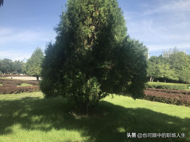 29歲通過了一級建造師一級造價師，我該選擇預(yù)算員還是施工員？  第2張