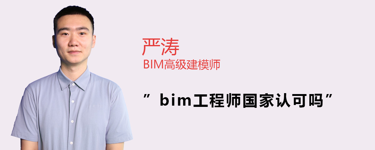 甘肅省工程類職稱評(píng)審條件,甘肅工程師認(rèn)可的bim  第1張