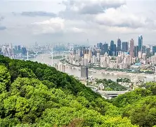 重慶注冊安全工程師準考證打印時間重慶2020注冊安全工程師考試證書領取時間 第1張 重慶注冊安全工程師準考證打印時間重慶2020注冊安全工程師考試證書領取時間 第1張