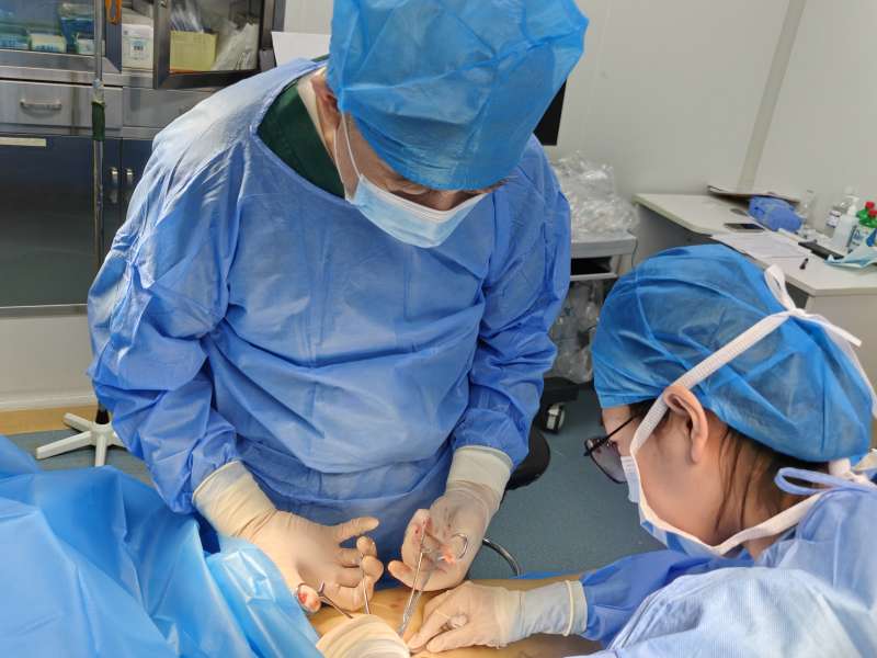 邁瑞醫療器械公司組織結構,邁瑞醫療器械結構工程師 第2張 邁瑞醫療器械公司組織結構,邁瑞醫療器械結構工程師 第2張