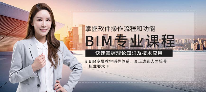 國(guó)際BIM工程師,bim工程師國(guó)家官網(wǎng)  第1張