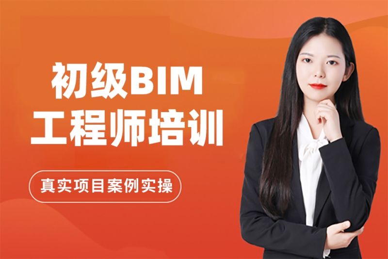 淺談bim技術(shù)的發(fā)展前景論文bim工程師前景演講稿  第1張